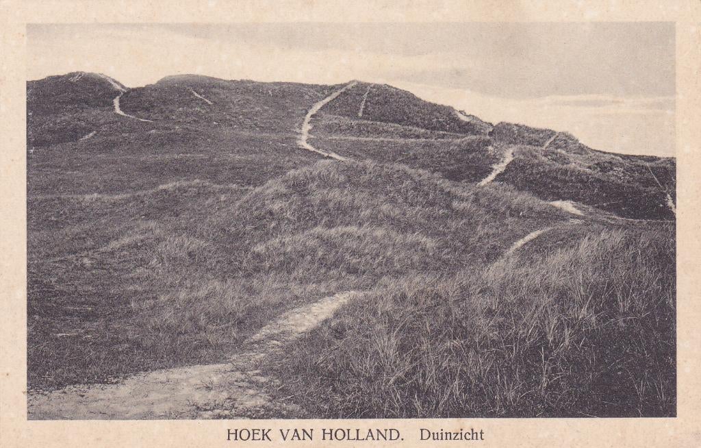 Hoek van Holland. Duinzicht.  **, Verzenden, Voor 1920, Ongelopen, Zuid-Holland