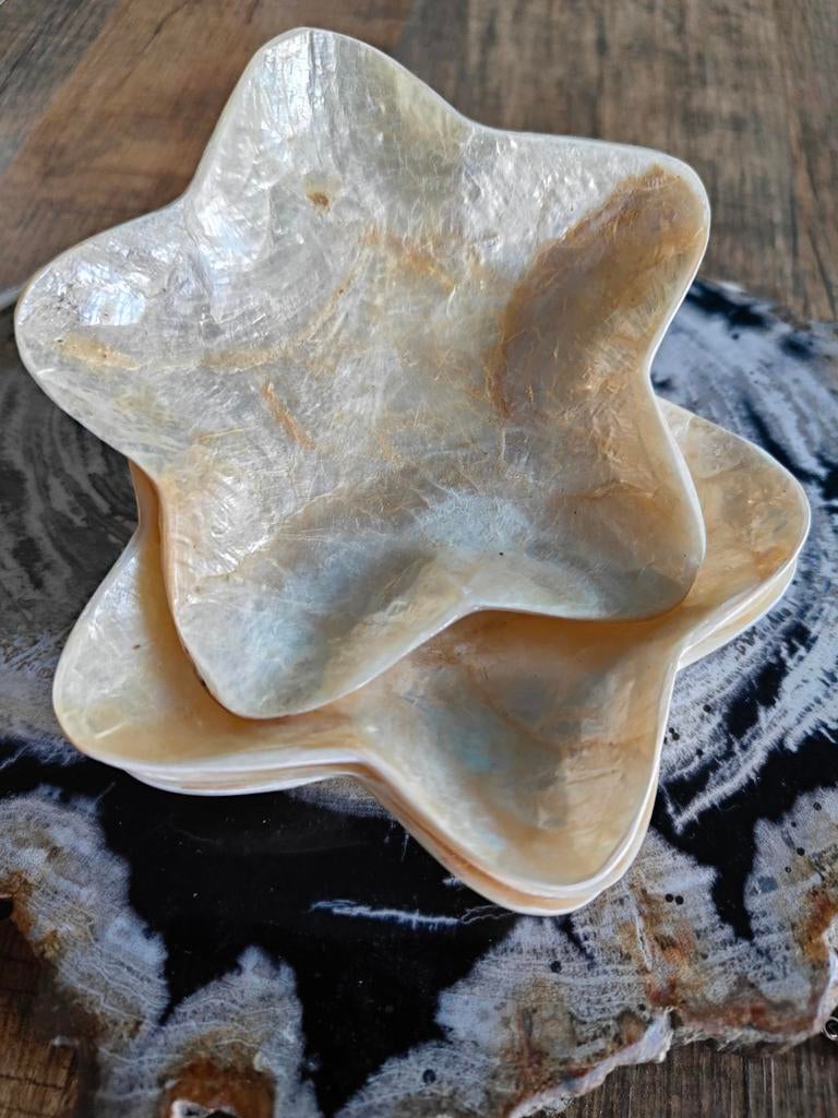 Capiz schelp ster schaaltje, Ophalen of Verzenden, Nieuw, Rond