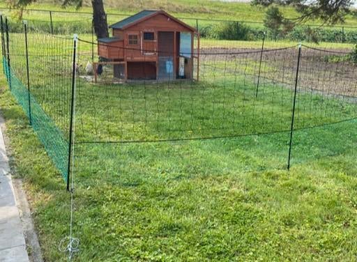 Kippen net/ren 21 meter, Ophalen, Zo goed als nieuw, Kippenhok of Kippenren