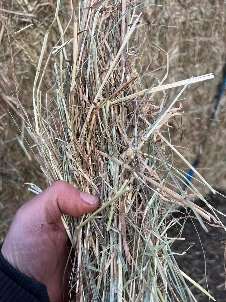 frans hooi grote balen met analyse, Dieren en Toebehoren, Stalling en Weidegang