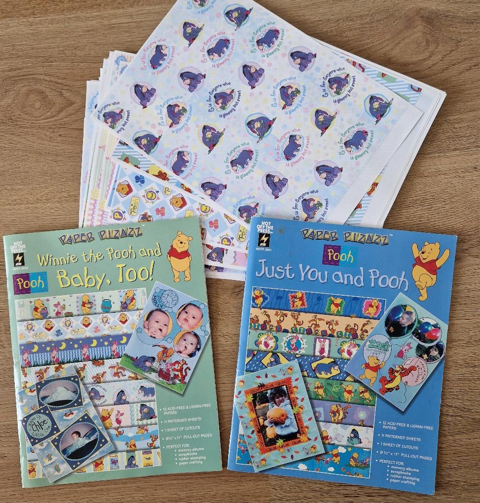 2 Disney Winnie the Pooh hobby boeken papier, Ophalen of Verzenden, Nieuw, Papier of Karton, Overige merken