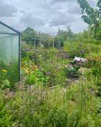 Extra handjes gezocht in de leukste volkstuin van Delft., Ophalen of Verzenden