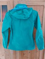 North face jas, Kleding | Heren, Ophalen of Verzenden, Zo goed als nieuw