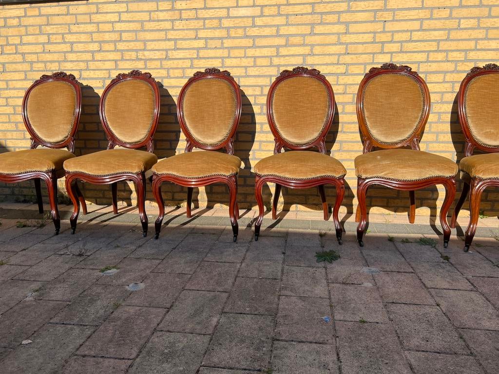 Set van 6 Antieke Mahony Stoelen - Barok Stijl, Ophalen