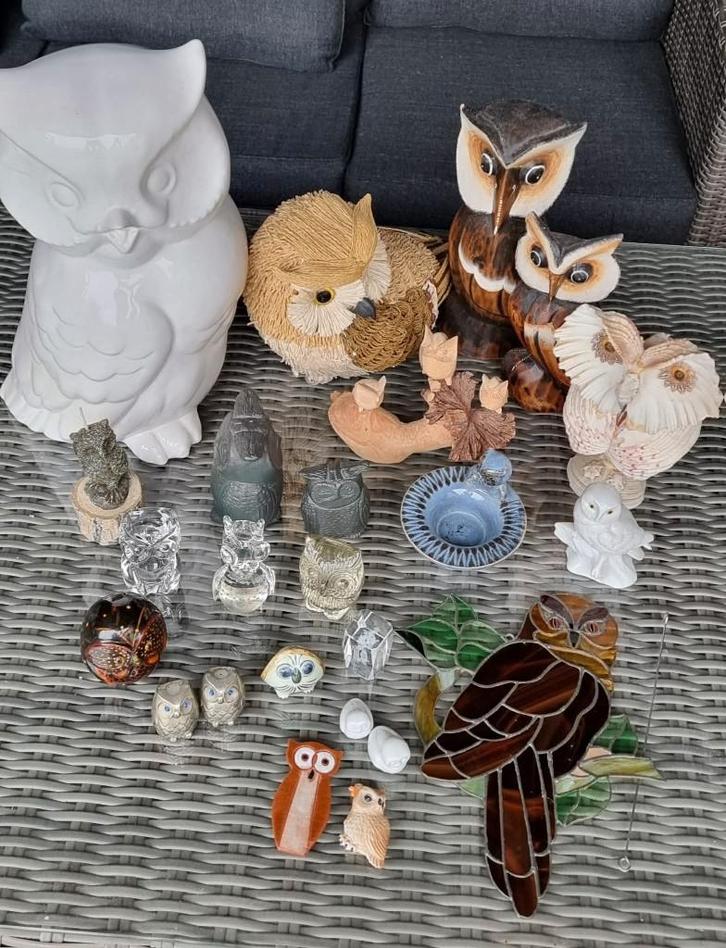 Groote Verzameling verschillende Uil, Verzamelen, Dierenverzamelingen, Zo goed als nieuw, Opgezet dier, Vogel, Ophalen of Verzenden