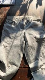 Witte rijbroek euro star 38, Ophalen of Verzenden, Zo goed als nieuw, Overige maten, Wit