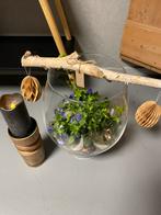 Paas stuk, Ophalen, Minder dan 100 cm