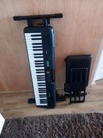 Casio keyboard.    Zwart, Muziek en Instrumenten, Ophalen, 61 toetsen, Casio, Met standaard