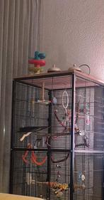 vogelkooi op wielen., Dieren en Toebehoren, Vogels | Hokken en Kooien, Ophalen of Verzenden, Metaal, Vogelkooi