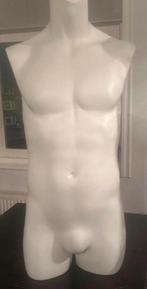 Heren Torso, Hobby en Vrije tijd, Naaien en Fournituren, Ophalen, Zo goed als nieuw, Paspop