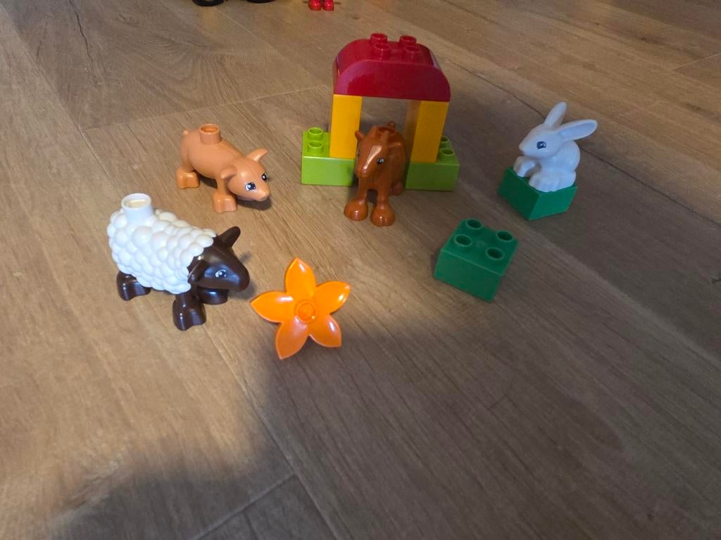 LEGO Duplo Boerderijdieren - set 10522, Overige thema's, Ophalen of Verzenden, Zo goed als nieuw, Duplo
