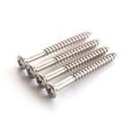 4 Gitaarhals schroeven / 4 Guitar Neck Screws voor 1 euro, Ophalen of Verzenden, Nieuw, Elektrische gitaar
