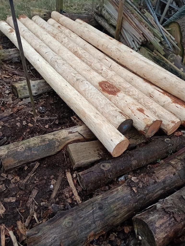 boompalen, Tuin en Terras, Palen, Balken en Planken, Ophalen of Verzenden, Nieuw, 180 tot 250 cm, Palen