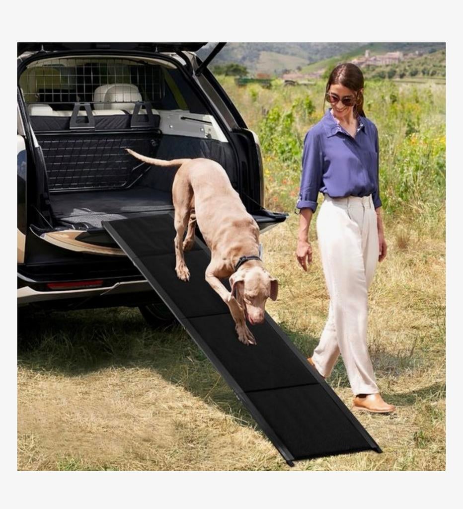 Honden Loopplank, Ophalen of Verzenden, Nieuw