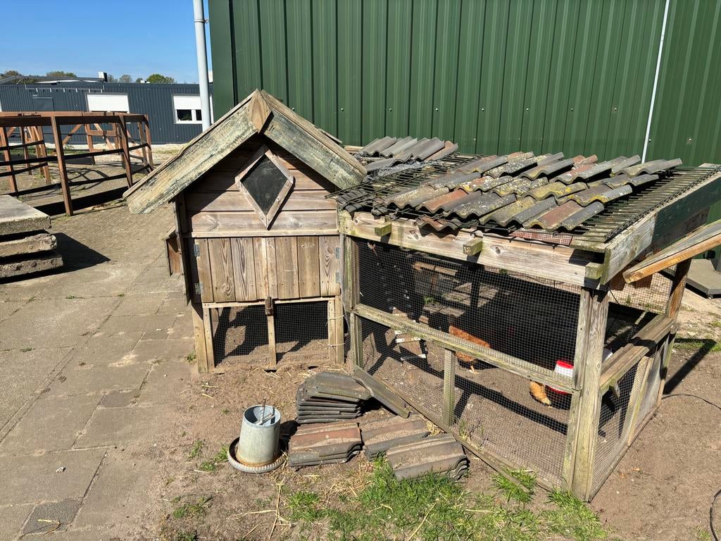 2 kippen met evt een hok, Ophalen, Zo goed als nieuw, Kippenhok of Kippenren