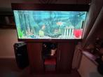 Juwel Aquarium Rio 180, Ophalen, Gebruikt, Leeg aquarium