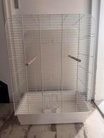 Parkieten kooi, Dieren en Toebehoren, Vogels | Hokken en Kooien, Ophalen, Zo goed als nieuw, Vogelkooi