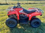 Hammer 200cc quad, orion 200cc, Motoren