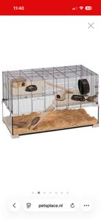 Hamster / ratten kooi, Dieren en Toebehoren, Kooi, Minder dan 75 cm, Zo goed als nieuw, Hamster