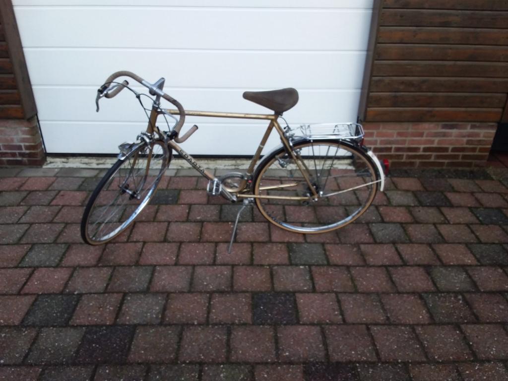 Sparta randoneur 2000, Fietsen en Brommers, Ophalen