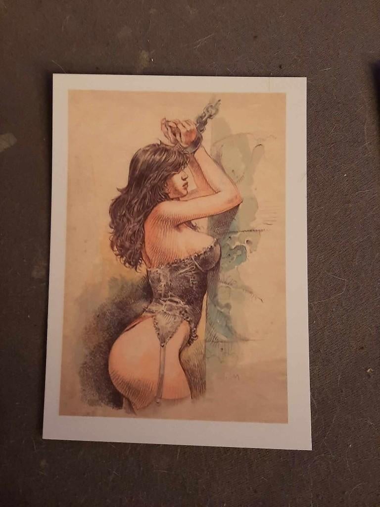 7x druuna prenten 15 euro alleen deze week, Boeken, Meerdere stripboeken, Ophalen of Verzenden, Nieuw
