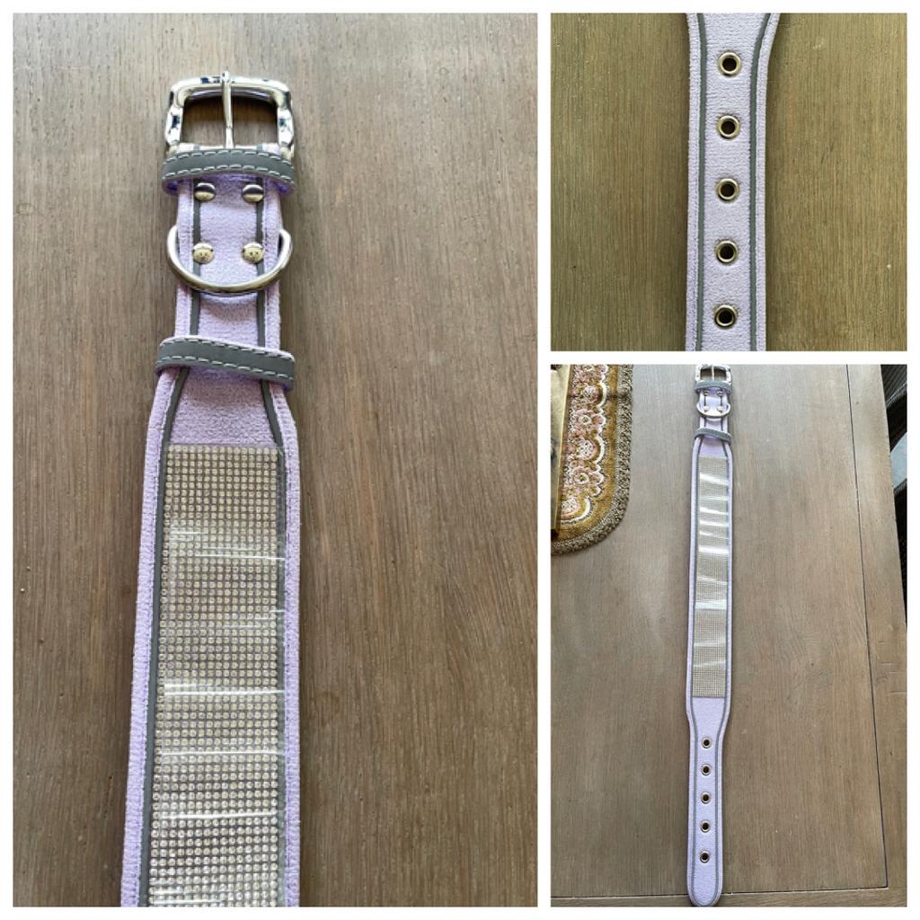 Honden halsband, Ophalen of Verzenden, Zo goed als nieuw