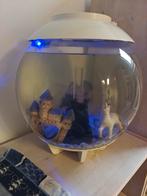 BiOrb aquarium 30 liter incl accesoires, Dieren en Toebehoren, Ophalen, Gebruikt, Leeg aquarium