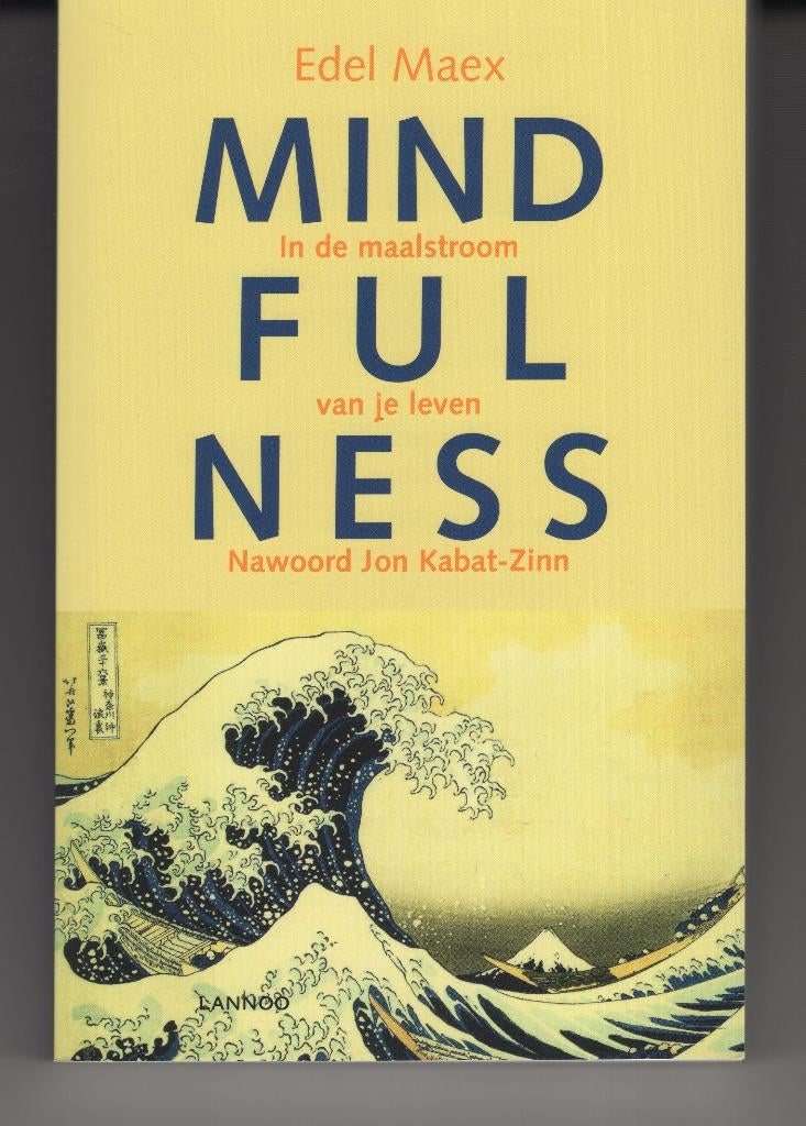 Mindfulness & Werken met mindfulness Edel Maex', Boeken, Ophalen of Verzenden, Zo goed als nieuw, Spiritualiteit algemeen, Overige typen