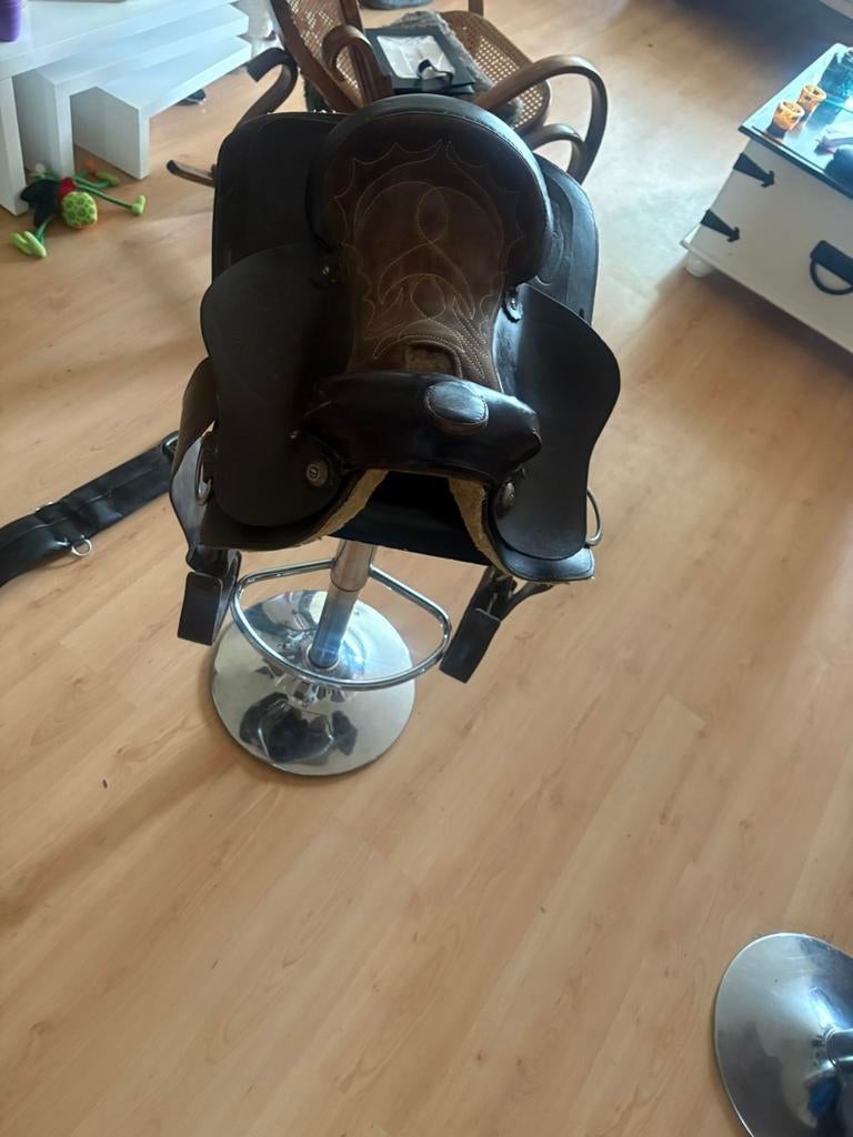 Paard of pony ?  zadel western, Dieren en Toebehoren, Februari, Meerdere dieren