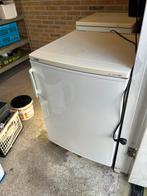 Haier HR-146NR Koelkast - Compact en Betrouwbaar, Minder dan 75 liter, Ophalen, 85 tot 120 cm, Zonder vriesvak