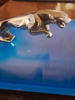 jaguar, Ophalen of Verzenden, Gebruikt