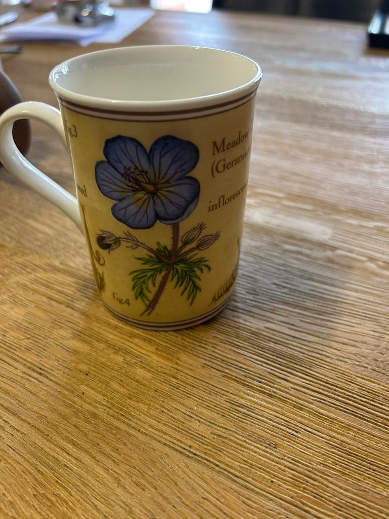 Mok  crown trent china limited, Huis en Inrichting, Keuken | Servies, Ophalen, Zo goed als nieuw, Overige stijlen, Kop(pen) en/of Schotel(s)