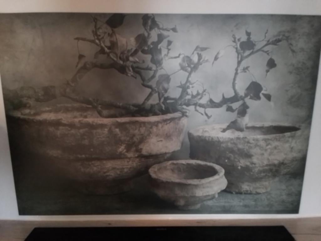 Stoer sober landelijk Spatscherm keuken, Ophalen of Verzenden, Nieuw