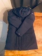 Tommy hilfiger winterjas, Kleding | Dames, Jassen | Winter, Ophalen of Verzenden, Nieuw, Maat 38/40 (M), Blauw