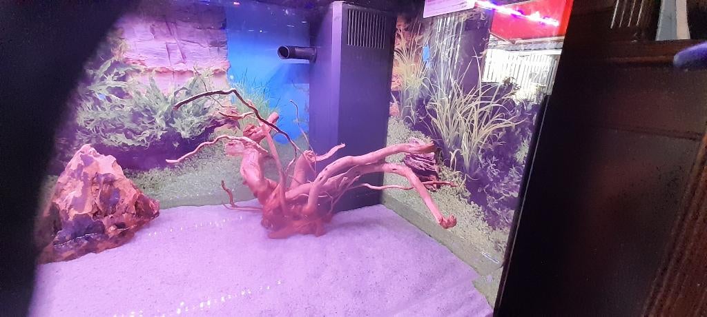 Te koop aquarium 80 cm., Ophalen, Gebruikt