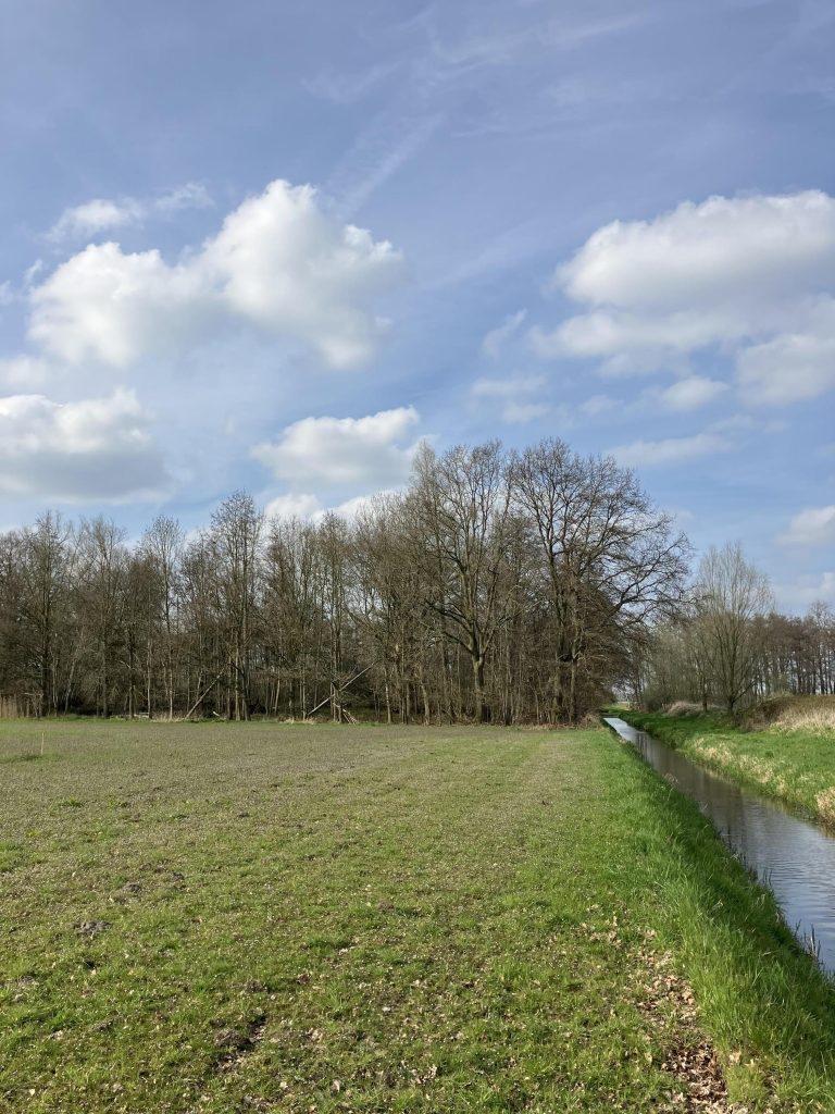 Weiland gezocht dalfsen., Dieren en Toebehoren