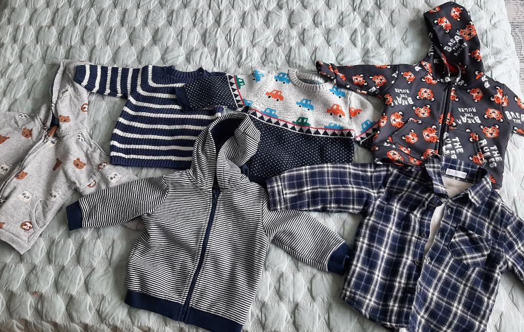 6 x Truien/Hoodies (Maat 74-80), Kinderen en Baby's, Babykleding | Maat 74, Ophalen of Verzenden, Gebruikt, Jongetje, Truitje of Vestje