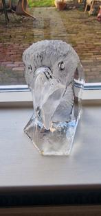 Zeearend adelaar gelimmiteerde oplage, Ophalen of Verzenden