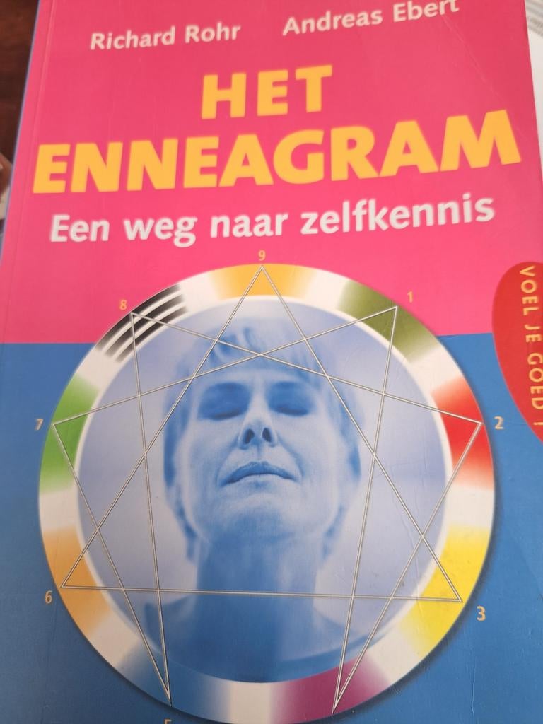 Het Enneagram: Een weg naar zelfkennis - Richard Rohr, Boeken, Ophalen of Verzenden