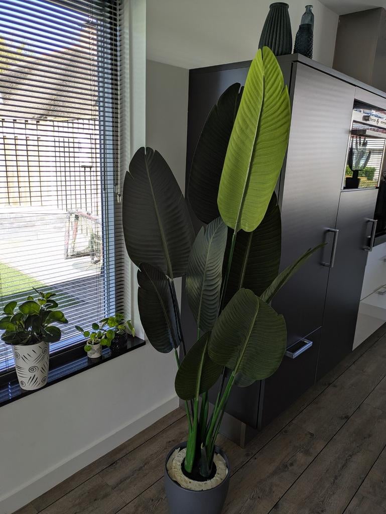 Kunstplant strelitzia 180 hoog, Huis en Inrichting, Kamerplanten, Ophalen, Halfschaduw, 150 tot 200 cm