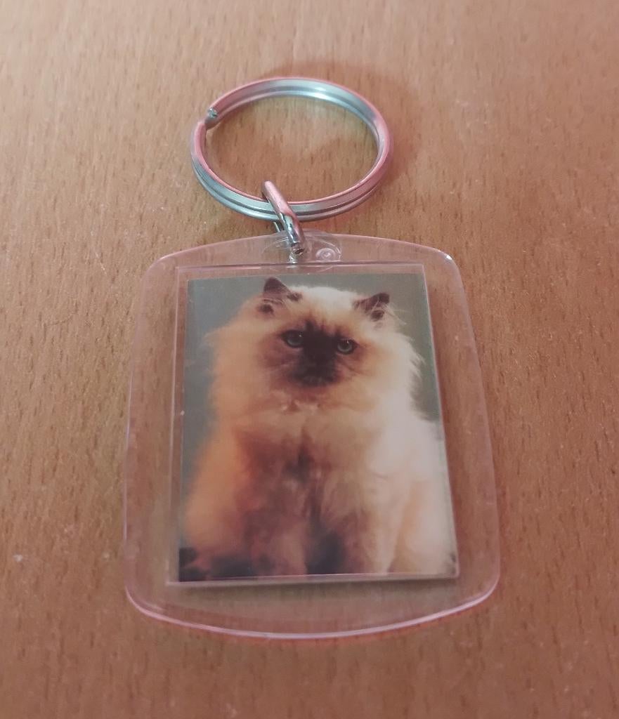 Langharige kat sleutelhanger, Ophalen of Verzenden, Nieuw, Dier of Natuur