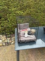 Hondenbench en toebehoren, Dieren en Toebehoren, Ophalen of Verzenden, Zo goed als nieuw