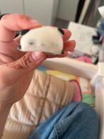 Schattige Panda Squishy Stressbal, Ophalen of Verzenden, Gebruikt