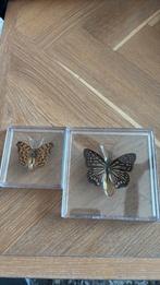 Decoratie vlinders, Huis en Inrichting, Verzenden, Zo goed als nieuw