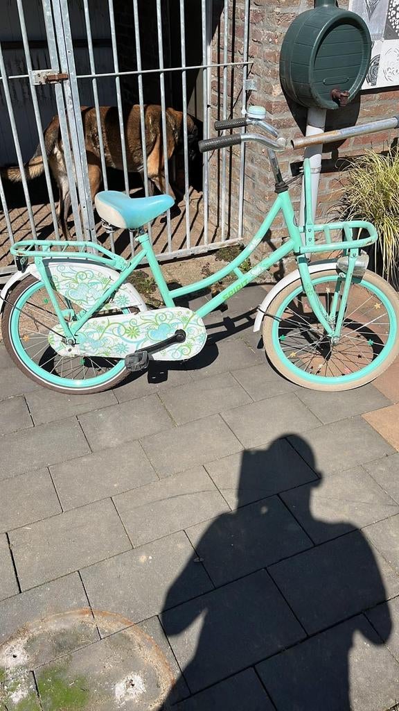 Meisjesfiets 20 inch, Ophalen