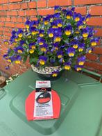 Nieuwe Cavallo inlegzooltjes hoefschoenen, Ophalen of Verzenden, Nieuw, Overige soorten