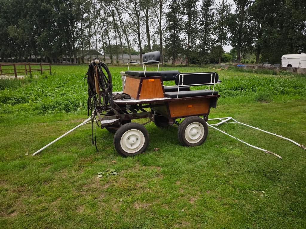 Recreatiekoets paard of ponny enkel span of twee span, Ophalen, Gebruikt, Recreatie