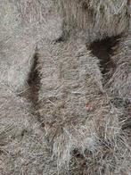 Hooipakjes onbemest natuurhooi 2025, Dieren en Toebehoren, Ophalen