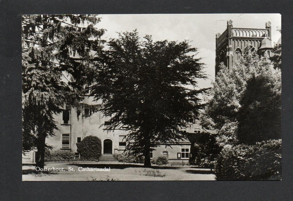 Oosterhout, ca1955. St. Catharinadal., Ophalen of Verzenden, 1940 tot 1960, Ongelopen, Noord-Brabant