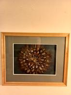 Ingelijste opgezette vlinder met veren, Huis en Inrichting, Overige materialen, Minder dan 50 cm, Ophalen of Verzenden, Zo goed als nieuw